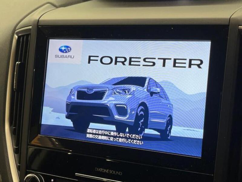 FORESTER