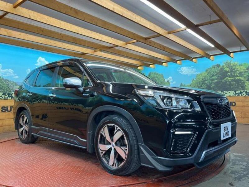 FORESTER