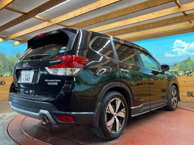 FORESTER