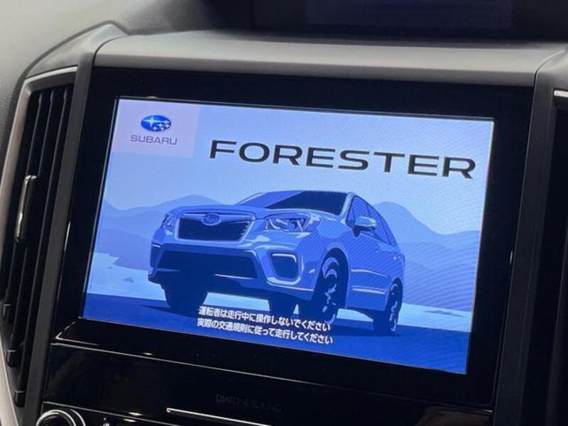 FORESTER