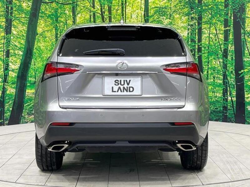 NX