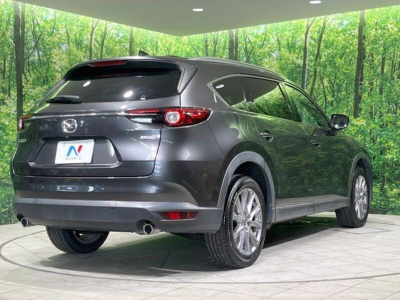 CX-8