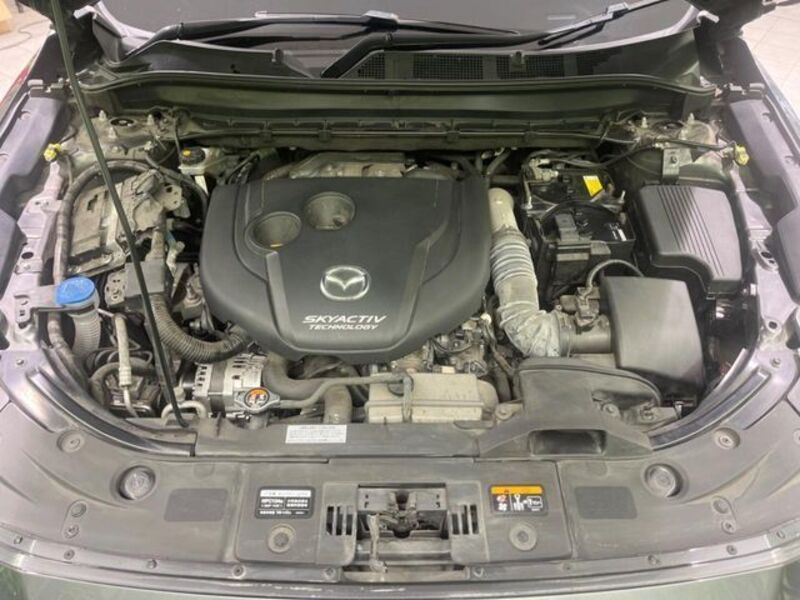 CX-8