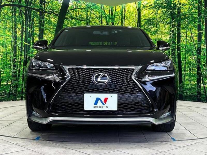 NX