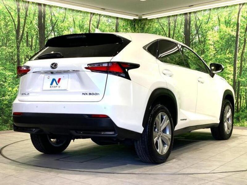 NX