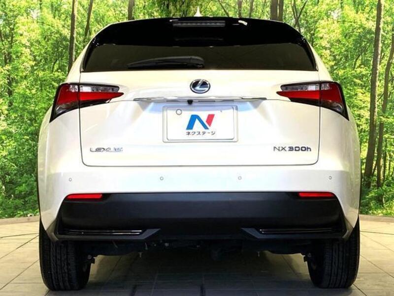 NX