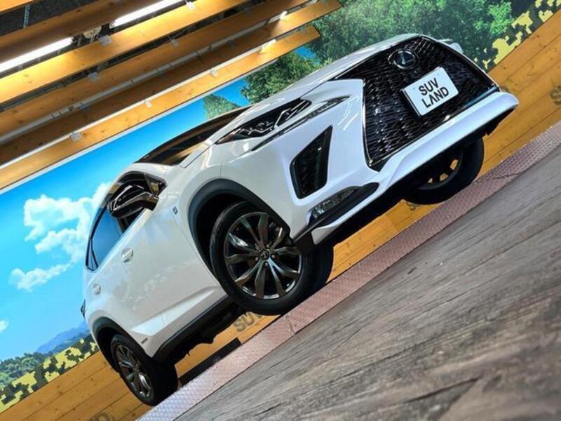 NX