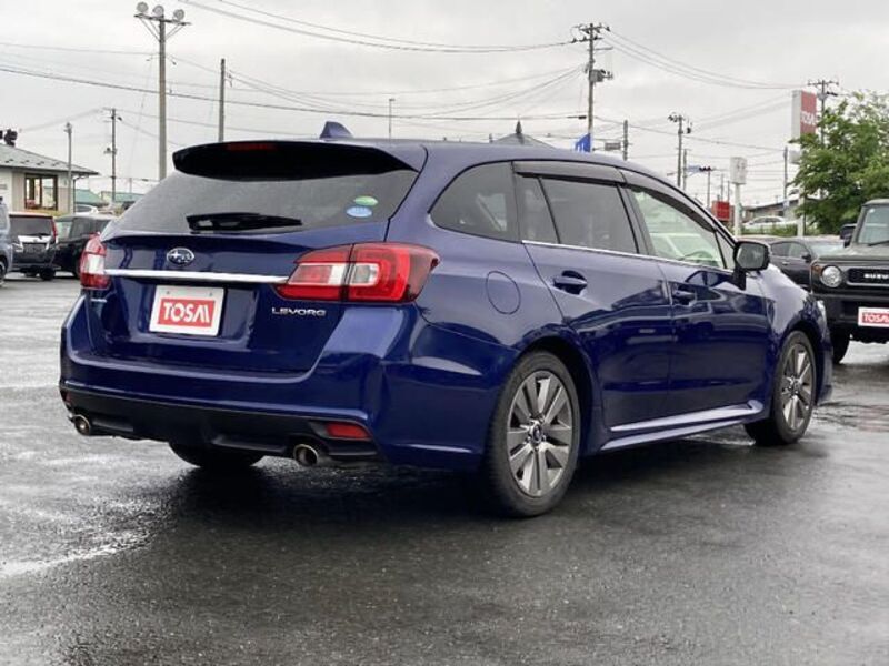 LEVORG