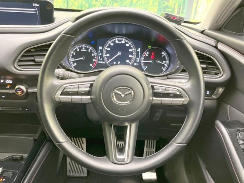 CX-30