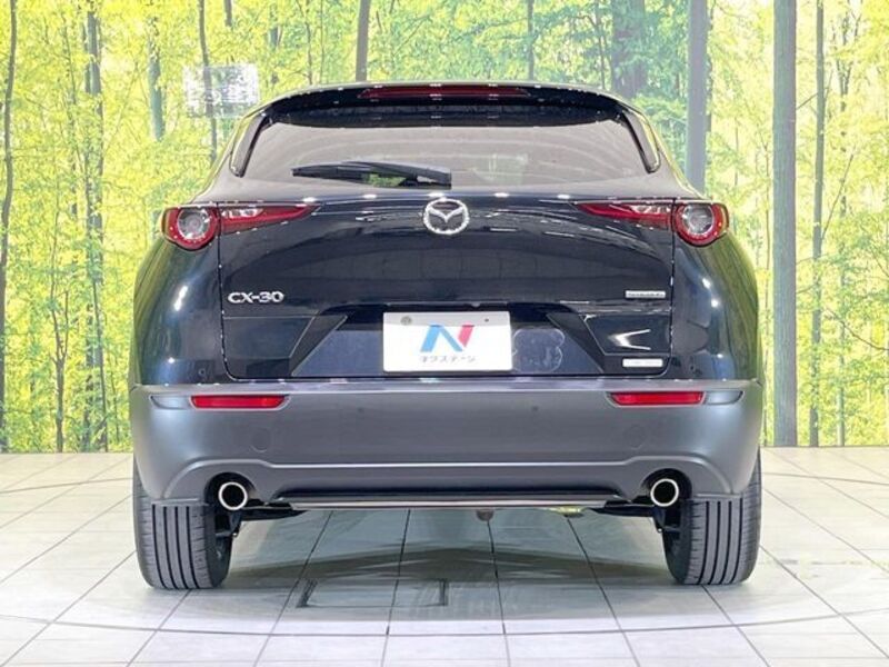 CX-30