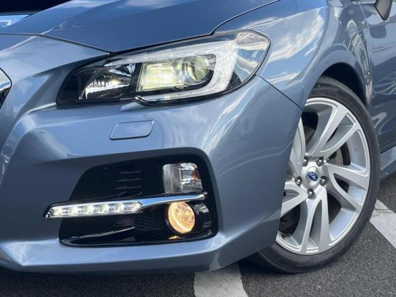 LEVORG