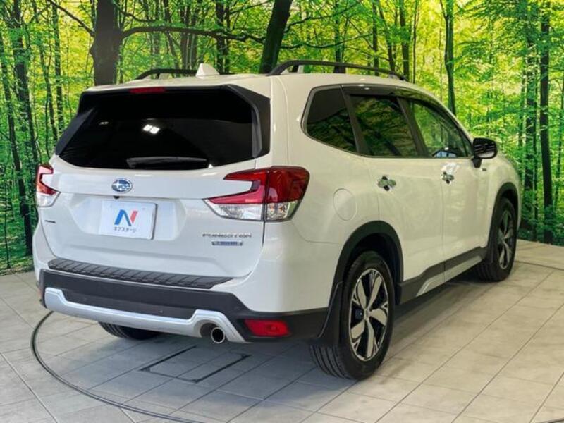FORESTER