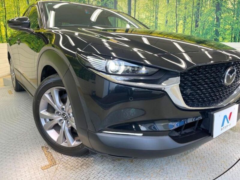 CX-30