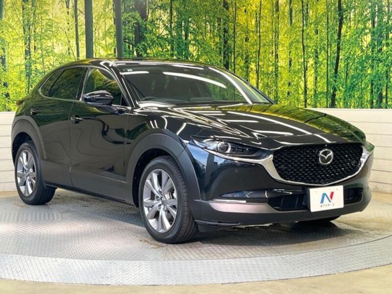 CX-30