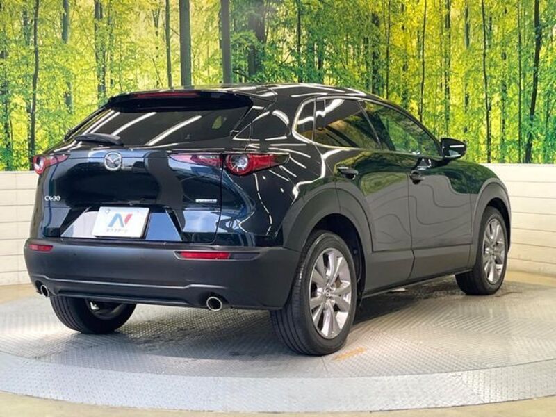 CX-30
