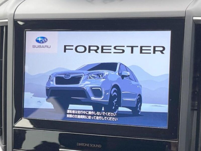 FORESTER