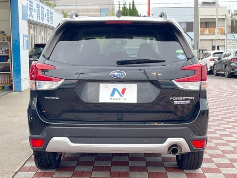 FORESTER