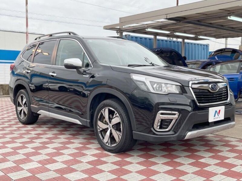 FORESTER