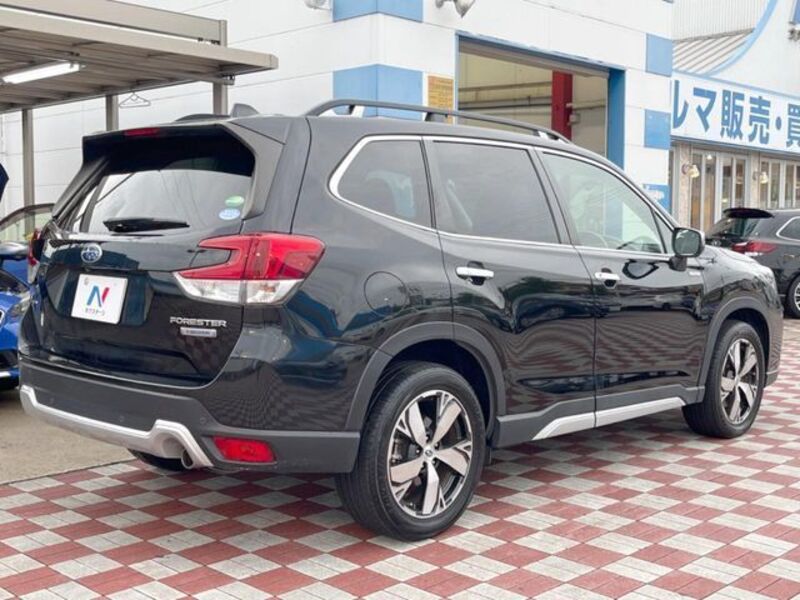 FORESTER