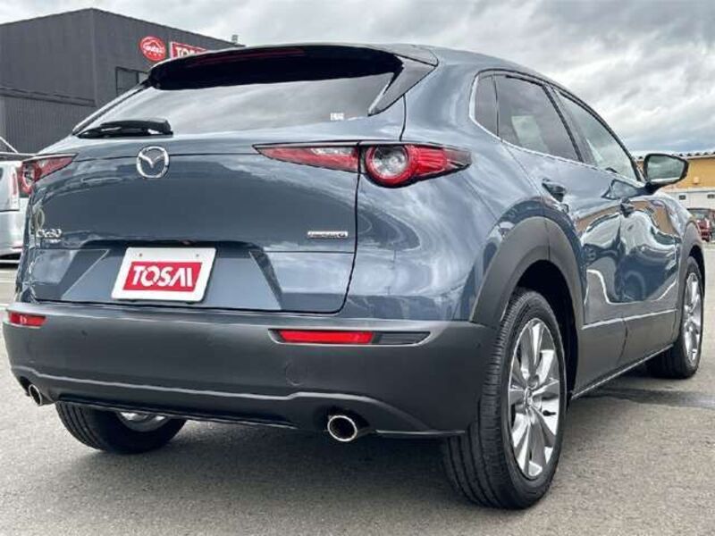 CX-30