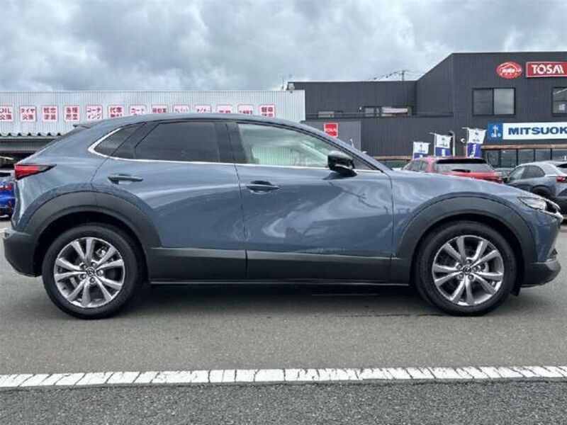 CX-30
