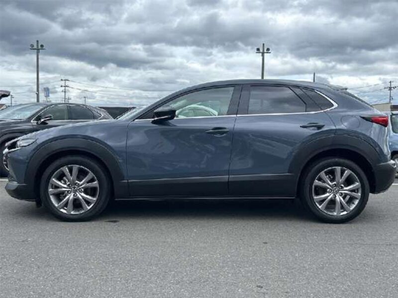 CX-30