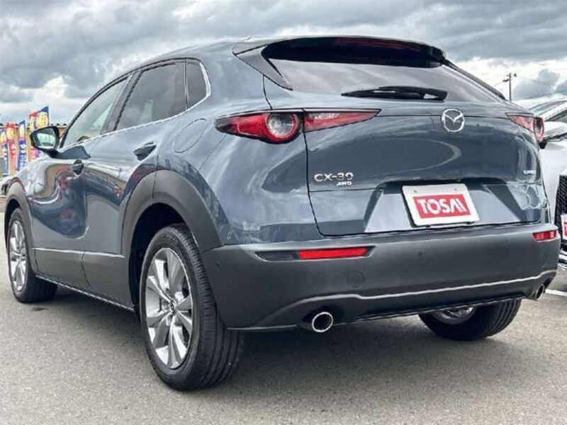 CX-30