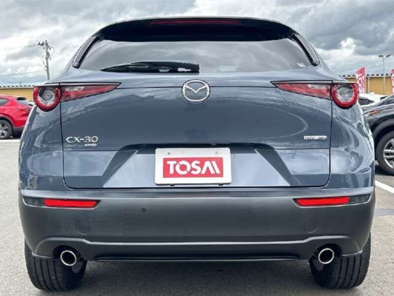 CX-30