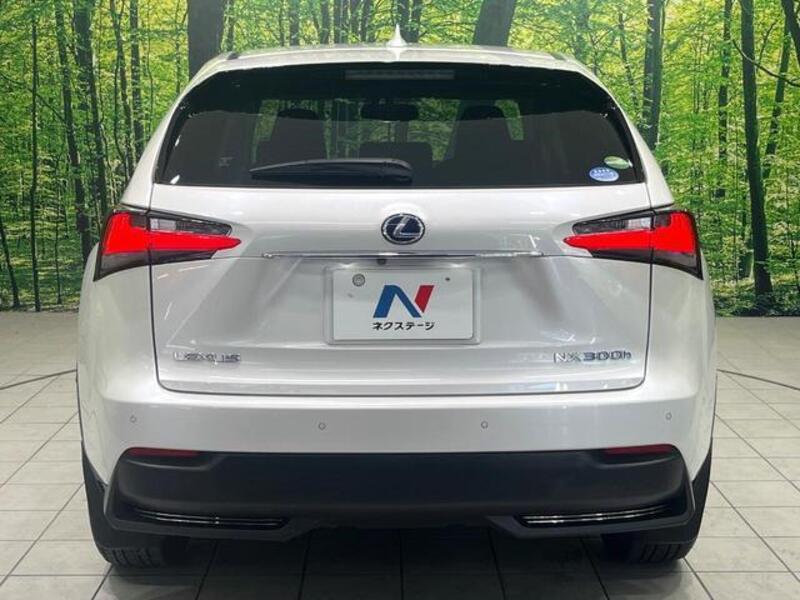 NX