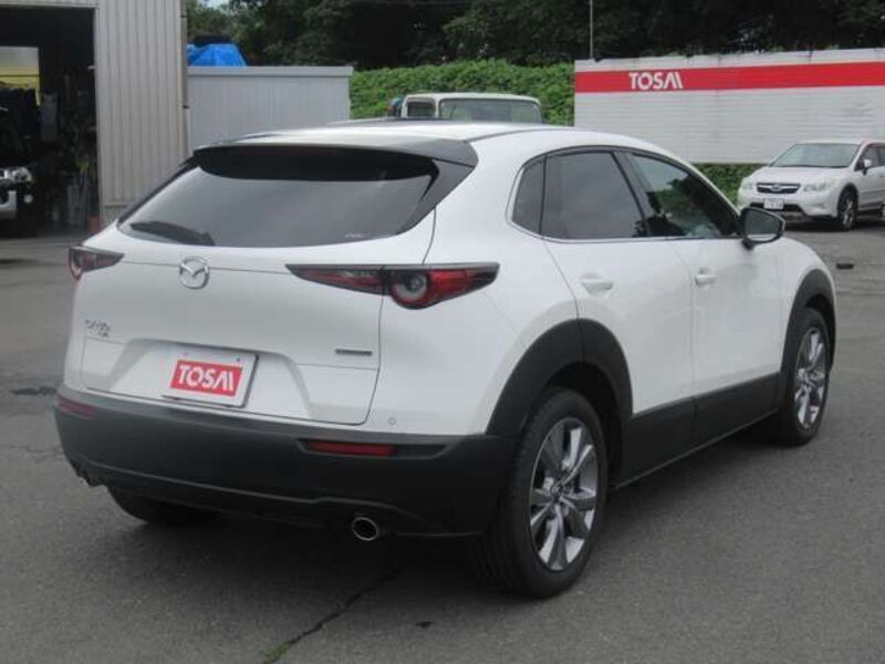 CX-30