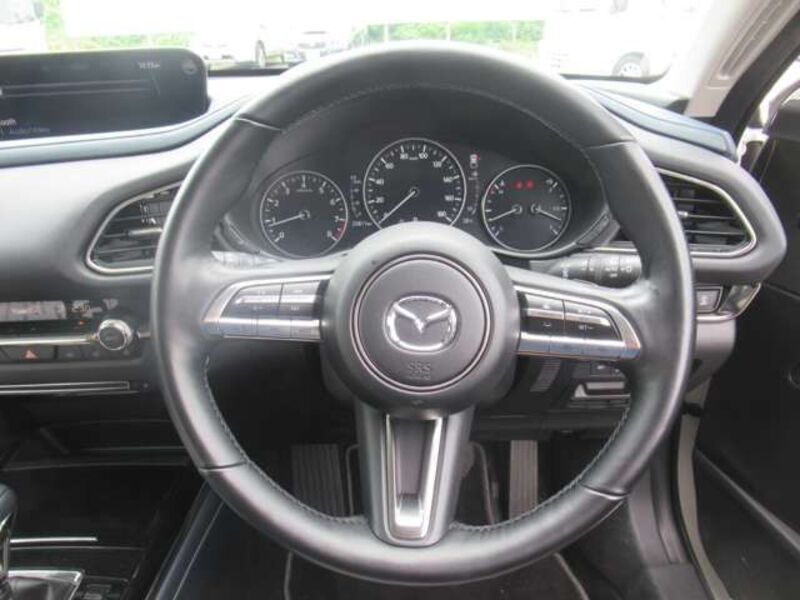 CX-30