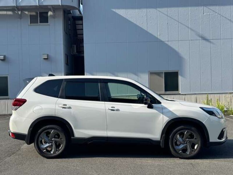 FORESTER