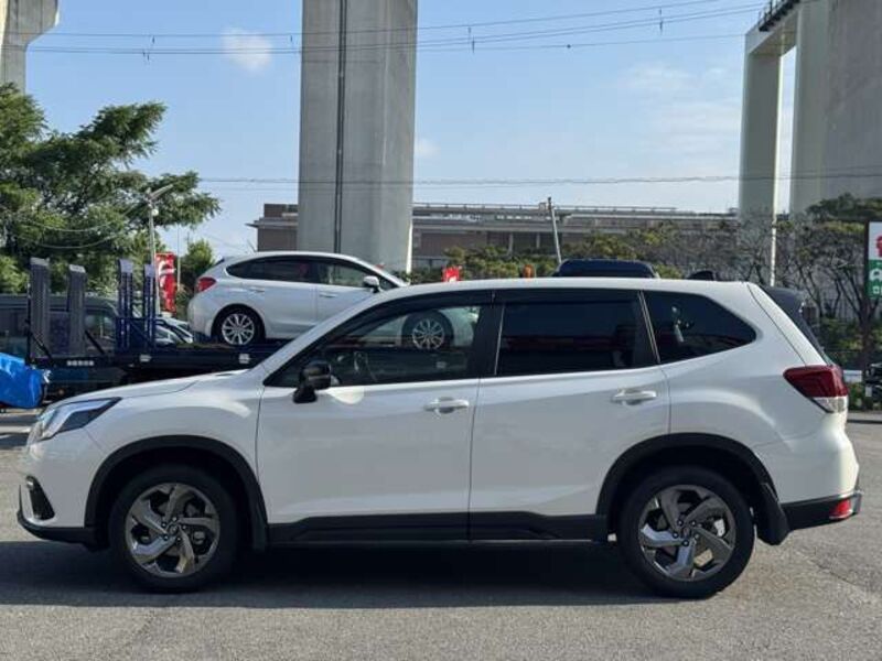 FORESTER