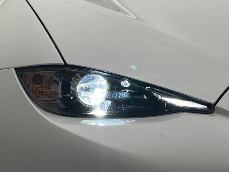 ROADSTER
