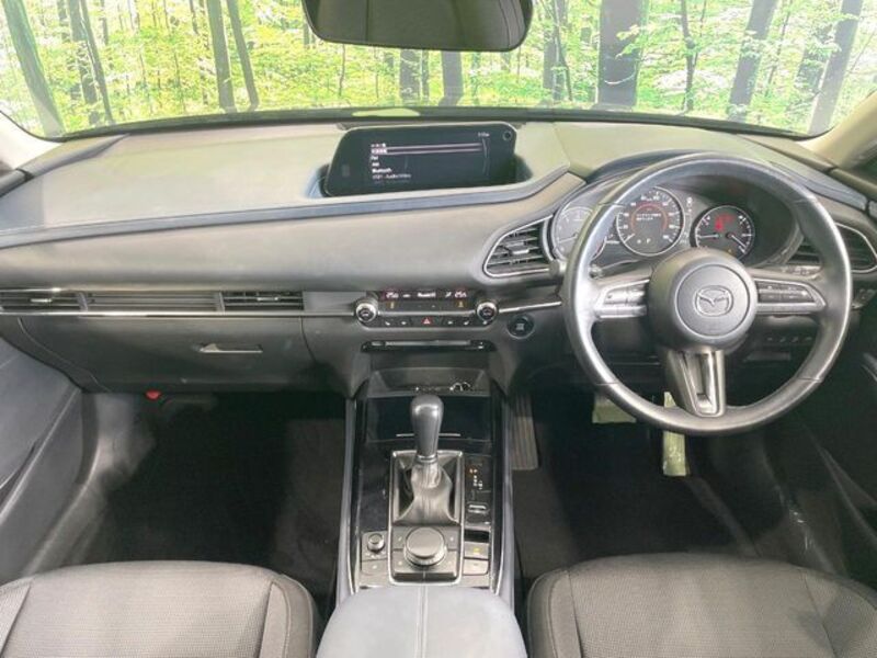 CX-30