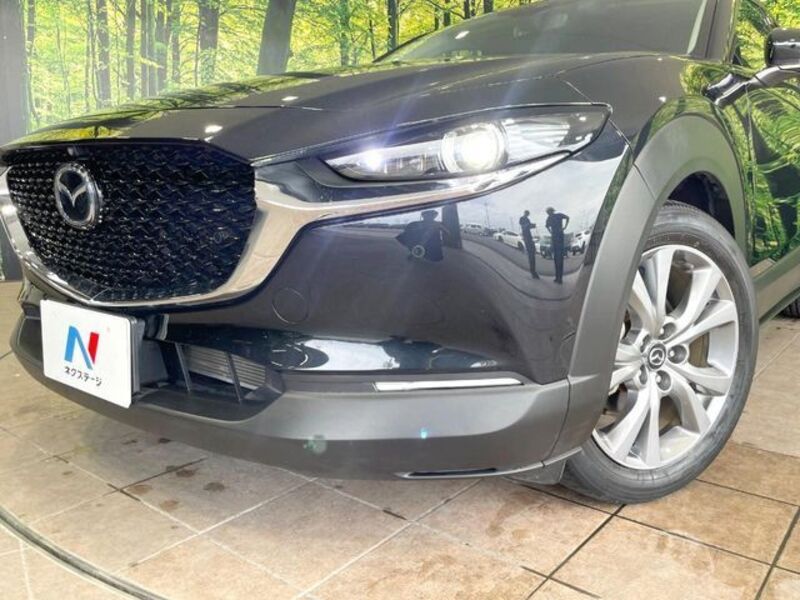 CX-30