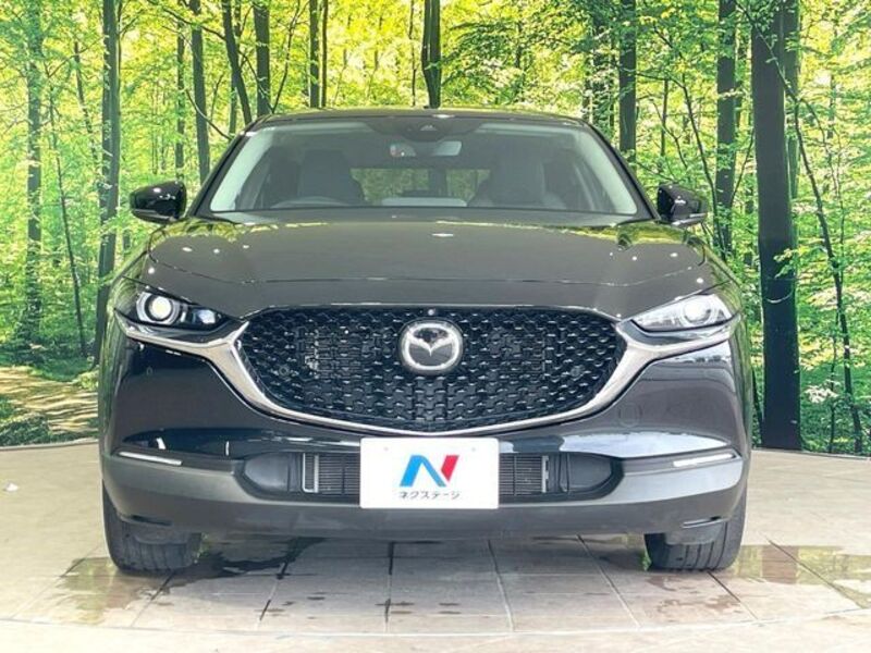 CX-30