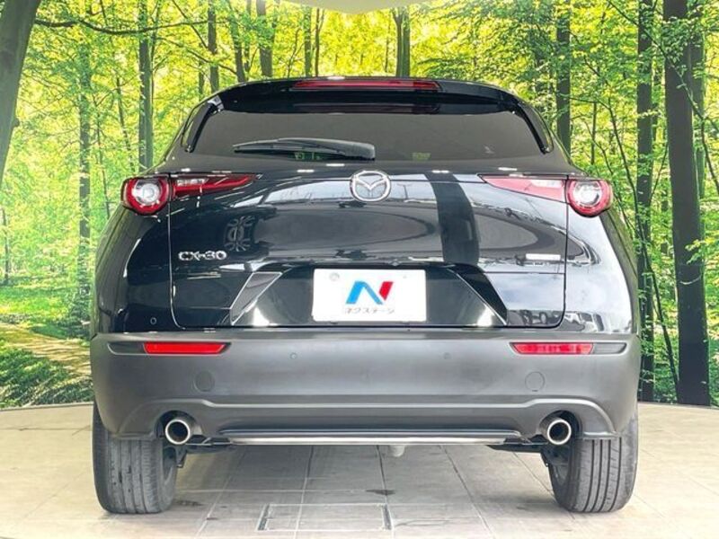 CX-30