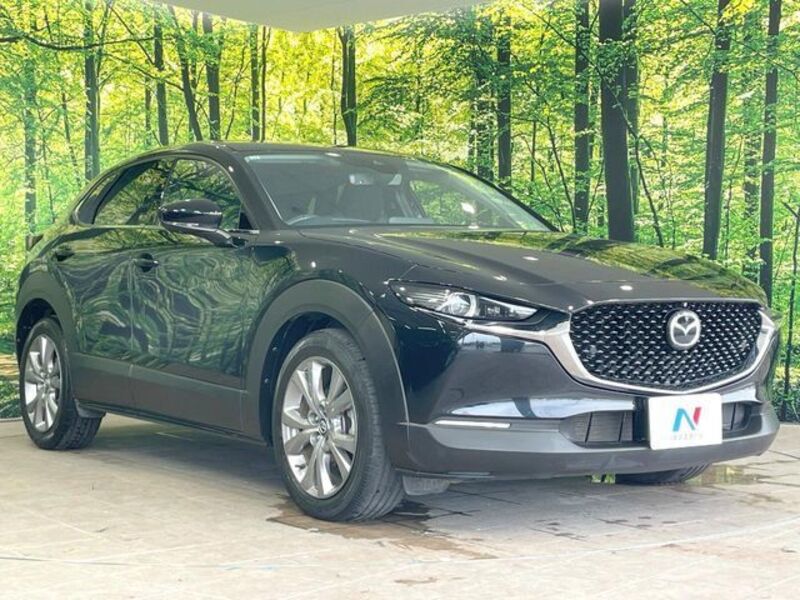 CX-30