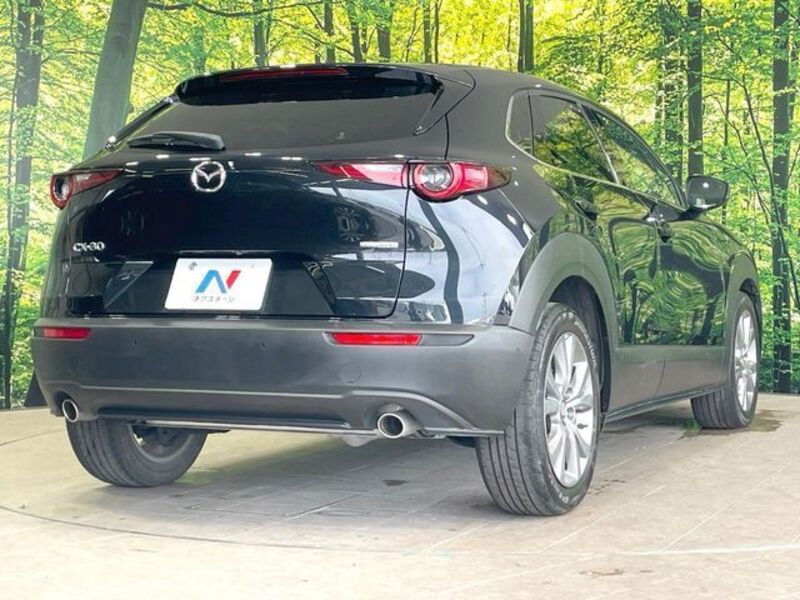 CX-30