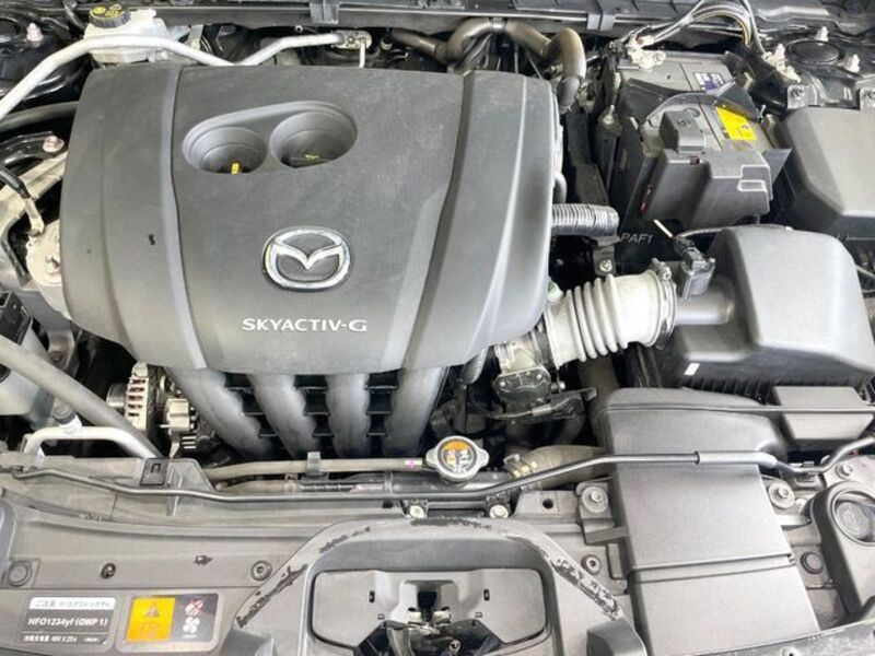 CX-30