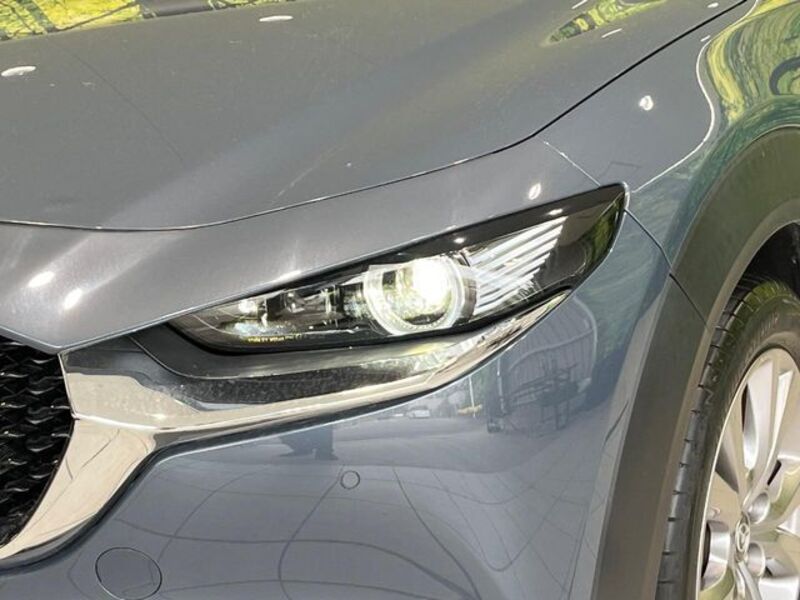 CX-30