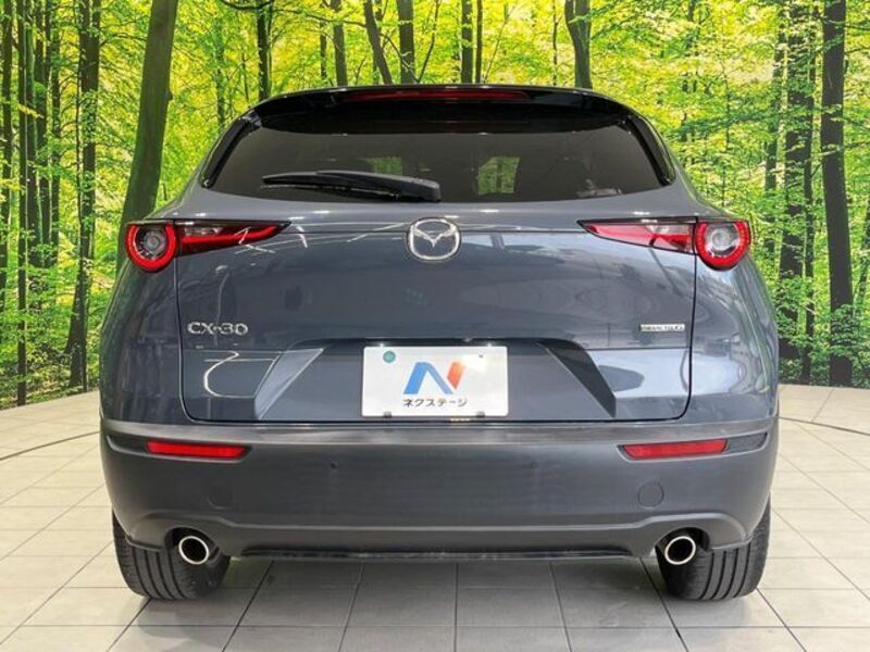 CX-30