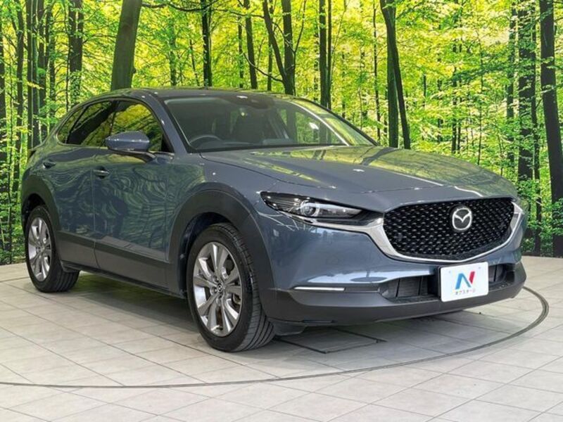 CX-30