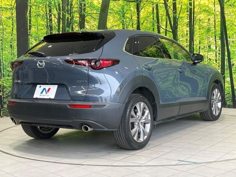 CX-30