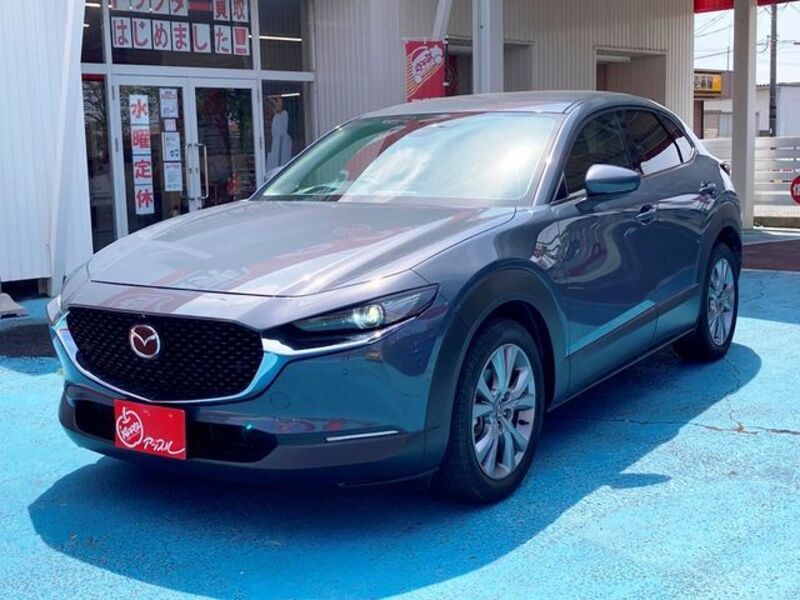 CX-30