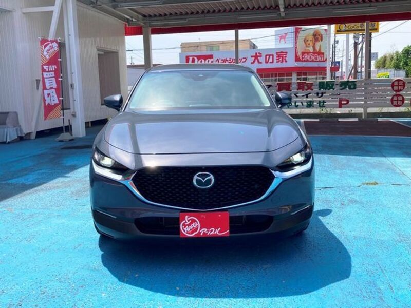 CX-30