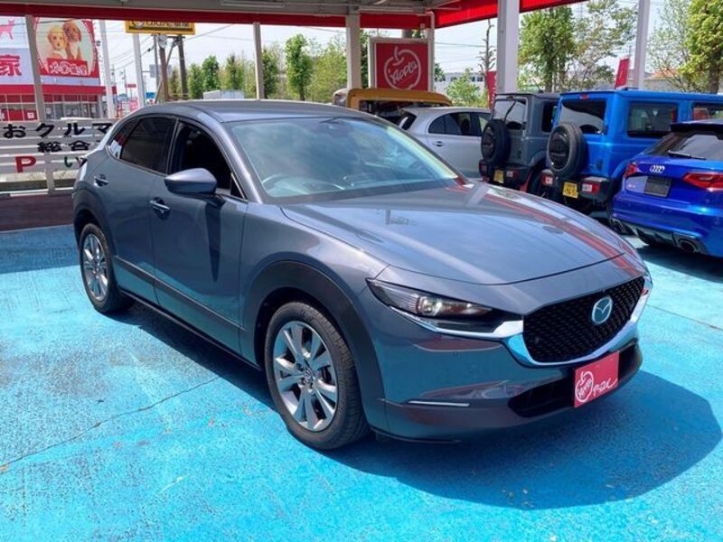 CX-30