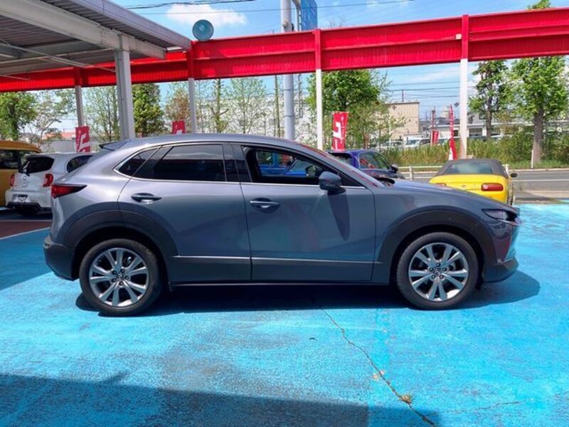 CX-30