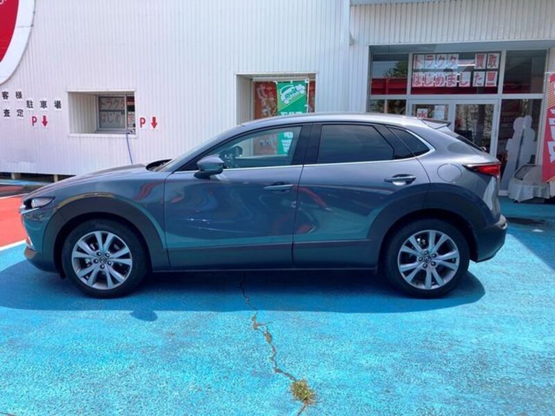 CX-30